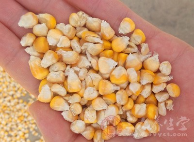 肠子响爱放屁是癌变吗 怎么保护肠道(2) - 疾病