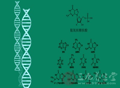 染色體檢測(cè)可以提前預(yù)知生育染色體病后代的風(fēng)險(xiǎn)