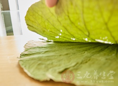 荷葉能清暑利濕、升發(fā)清陽之氣、止血，適宜多種出血患者食用