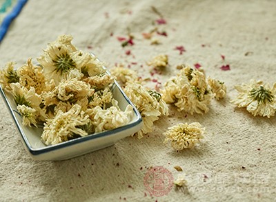 传统泡茶的菊花一般有两种