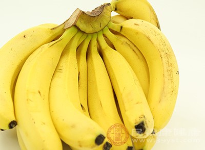 香蕉含有高量糖质，在体内可转变成热量，因此是补充体办的佳品