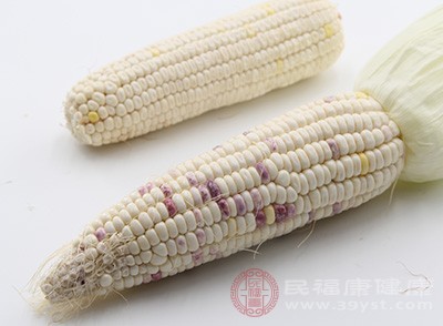 玉米在一定的长度上能够起到减肥的作用，是因为玉米是一种粗纤维的食物