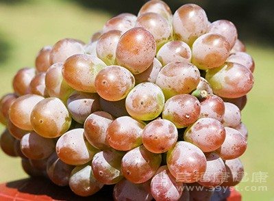 葡萄的功效 吃这种水果减少血栓的出现