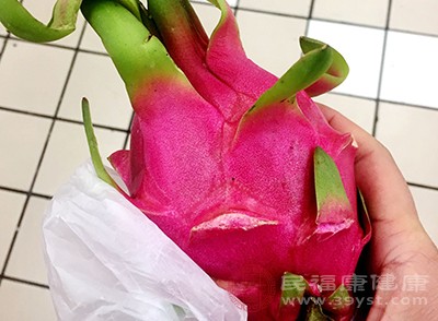 火龍果、芹菜、魚(yú)鰾、胡蘿卜、鹽、淀粉、生抽等