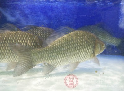 尤其是嘌呤含量較高的食物。這些食物包括：鳳尾魚(yú)、魚(yú)子、青魚(yú)、鯖魚(yú)、蚌、沙丁魚(yú)，以及蝦類(lèi)