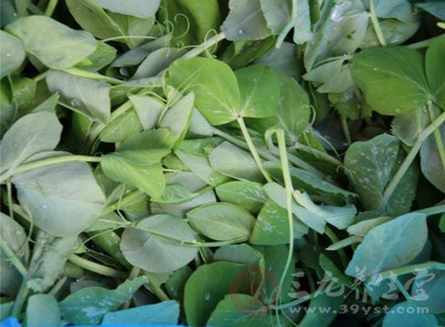 老人合理地吃肉一样很重要