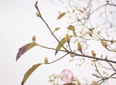 俗话说：一场秋雨一场寒，近的雨下的有些频繁