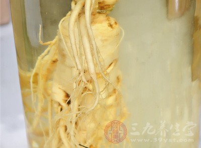 關(guān)于喝酒很多人都喜歡用人參、枸杞泡酒喝