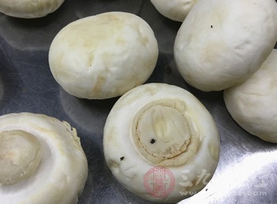 蘑菇的营养价值_蘑菇的功效与作用及食用方法