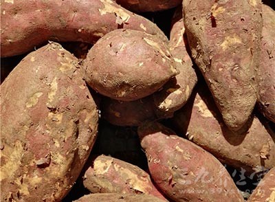 红薯发芽了还能吃吗 红薯的营养价值有哪些
