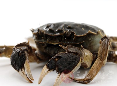 哺乳期能吃螃蟹吗 哺乳期这些都不能吃 - 孕产