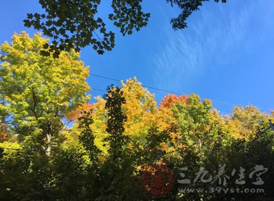 冷空氣來襲如何養(yǎng)生