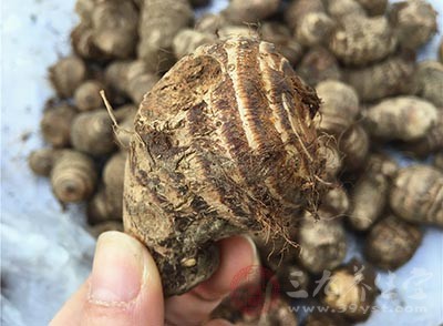 芋头的功效和作用 芋头发芽了还能吃吗