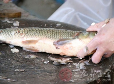 將鯽魚洗凈去內(nèi)臟和枸杞一起煮湯