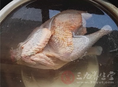 治療貧血食療方式