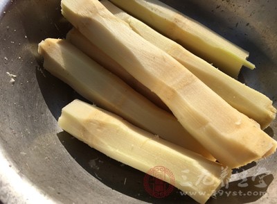 甘蔗都有哪些滋补功效