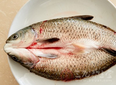 白鲢鱼怎么做好吃 白鲢鱼有哪些功效