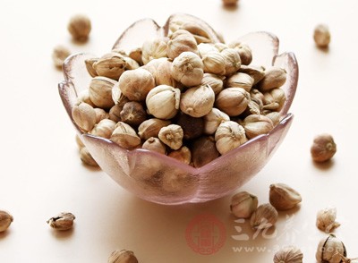 豆蔻是什么 豆蔻的功效与作用有哪些-三九养生