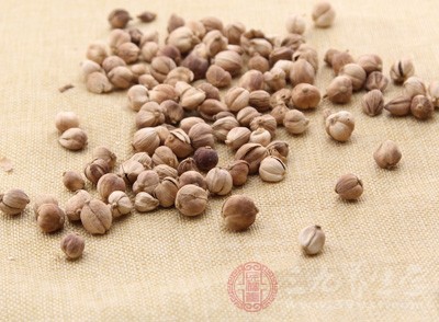 豆蔻是什么 豆蔻的功效与作用有哪些-三九养生