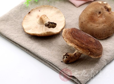 香菇的营养价值 你了解香菇的作用吗