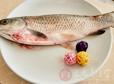 草鱼比较常见的一种做法就是红烧