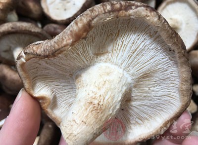 鵪鶉肉與花菇食物相克