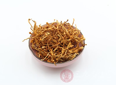 冬蟲夏草越新鮮質(zhì)量越高，好不要久放