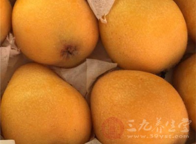 芒果未成熟的果實及樹皮、莖能抑制化膿球菌、大腸桿菌等