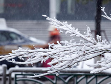 风雪交加的落雪