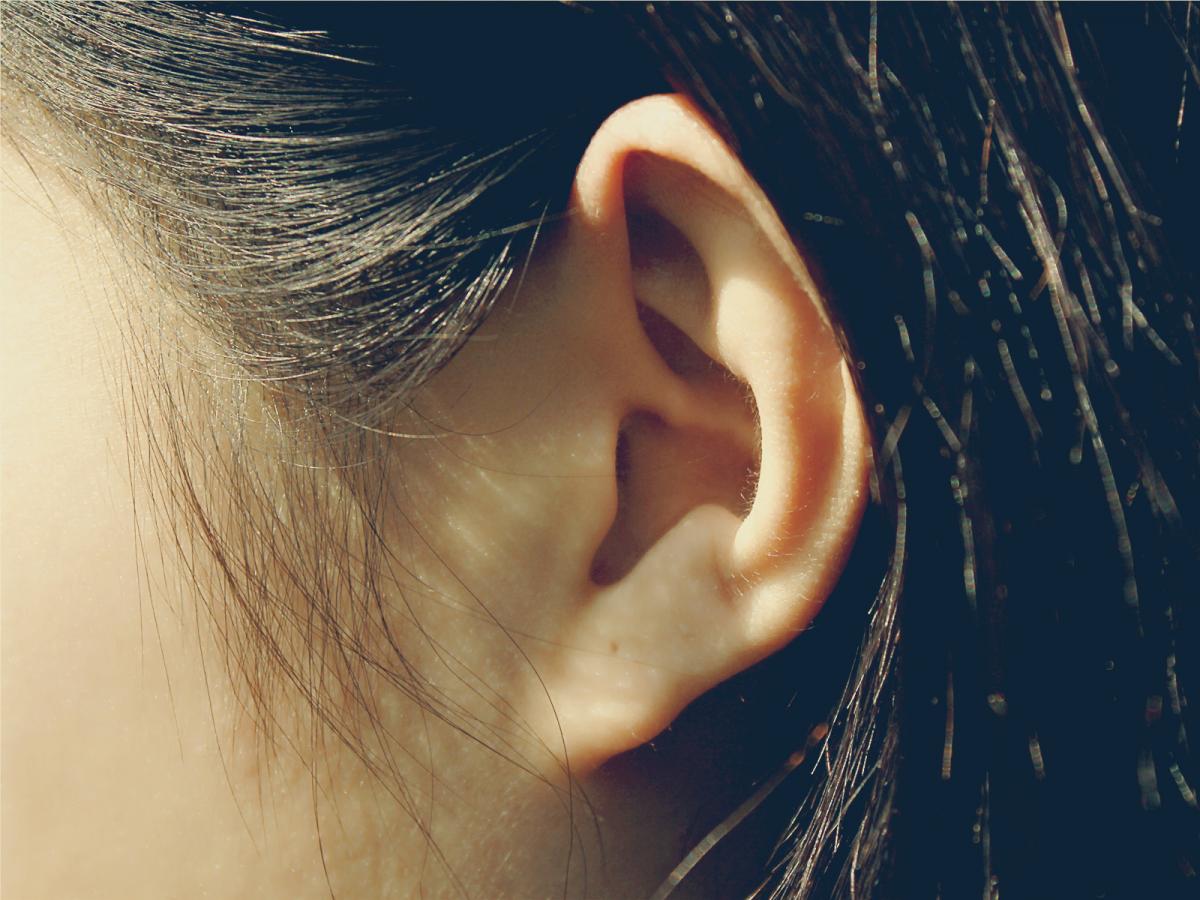 中医耳针取穴人体耳朵模型反射区穴位按摩清晰经络按摩耳模耳穴耳-阿里巴巴
