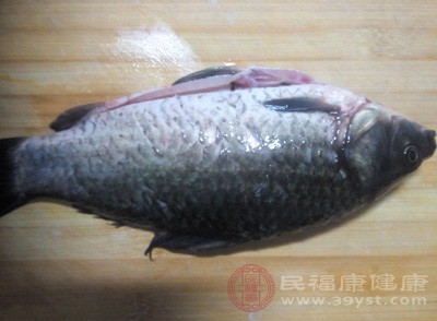 苔白薄，脈細(xì)弱。治宜選用鯽魚(yú)，溫中散寒，療效顯著