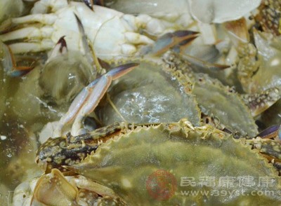 怎么吃螃蟹 12中食物不能与螃蟹一起吃