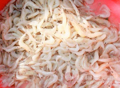 吃虾的好处有哪些 虾的营养价值