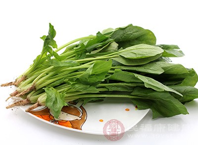 芝麻醬拌菠菜，香而不膩，是完美的補鈣涼菜