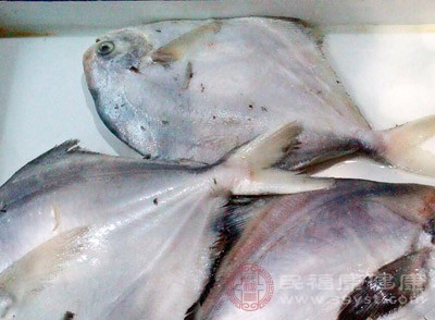 鯧魚(yú)的食用效果