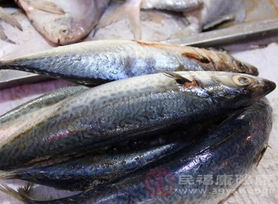 清江魚(yú)燜鍋的做法