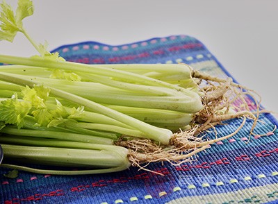 芹菜是高纖維食物具有抗癌防癌的功效