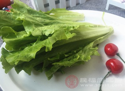 生菜維生素含量高,且纖維素含量高,有清洗口腔且緩解牙齦炎癥反應(yīng)的作用