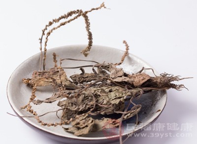 将采来的车前草幼株、嫩芽,择洗干净,用开水焯一下 将采来的车前草幼株、嫩芽,择洗干净,用开水焯一下