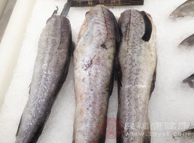 超市和量贩店业者贩售的冷冻鱼虾新鲜度 超市和量贩店业者贩售的冷冻鱼虾新鲜度