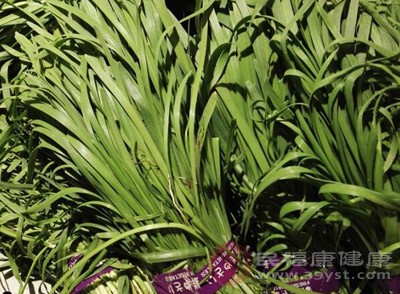 用韭菜根10個(gè)，川椒20粒，香油少許，其搗如泥