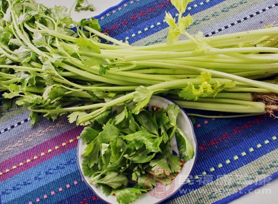 芹菜的好处 常吃这种蔬菜可以帮你降血压