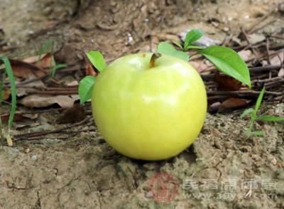 蘋果中含有大量的碳水化合物、維生素C、少量的脂肪以及蛋白質(zhì)與微量元素