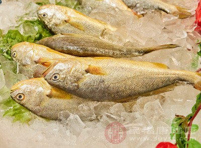 經(jīng)常食用黃魚，能增進食欲，還能防治脾胃疾患和尿路結(jié)石等病癥;對于一些消化性潰瘍、肺結(jié)核、再生障礙性貧血等病癥也有很好的輔助調(diào)養(yǎng)作用