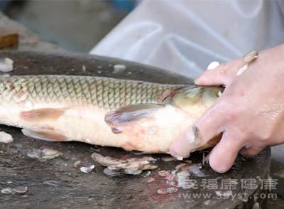 鲤鱼的做法，红烧鲤鱼块