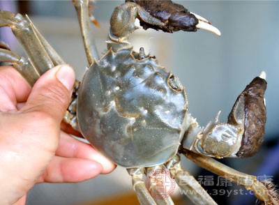 在公平秤上动手脚增加海鲜重量 在公平秤上动手脚增加海鲜重量