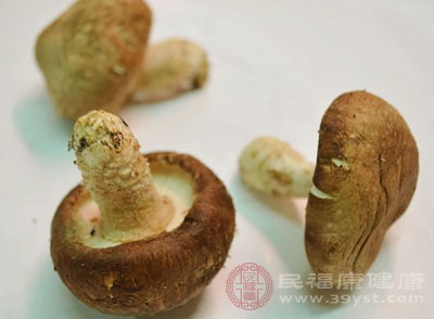 什么是食品 什么是食品