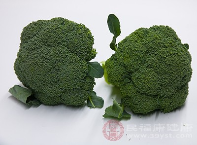 豆芽中的葉綠素可以防治直腸癌