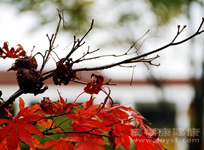 霜降代表著很有氣溫已經(jīng)下降到幾度了