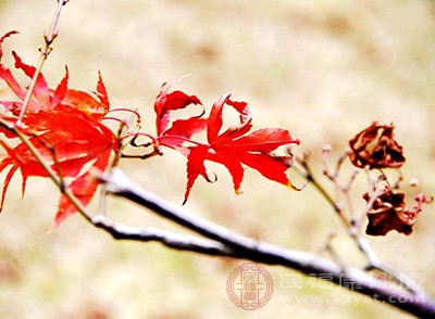 霜降時(shí)節(jié)，漸入冬寒，人體關(guān)節(jié)部位怕受涼